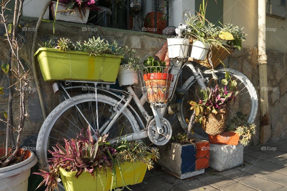 Urban#plants#bycicle#spots