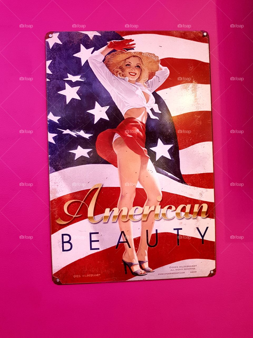 American Beauty, illustration 🗽🗽🗽🗽🗽🗽🗽