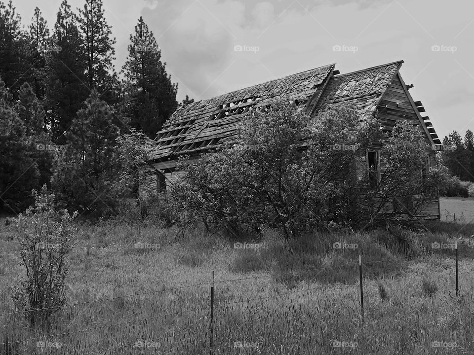 An old weathered barn in the fields in the rural countryside of Oregon.