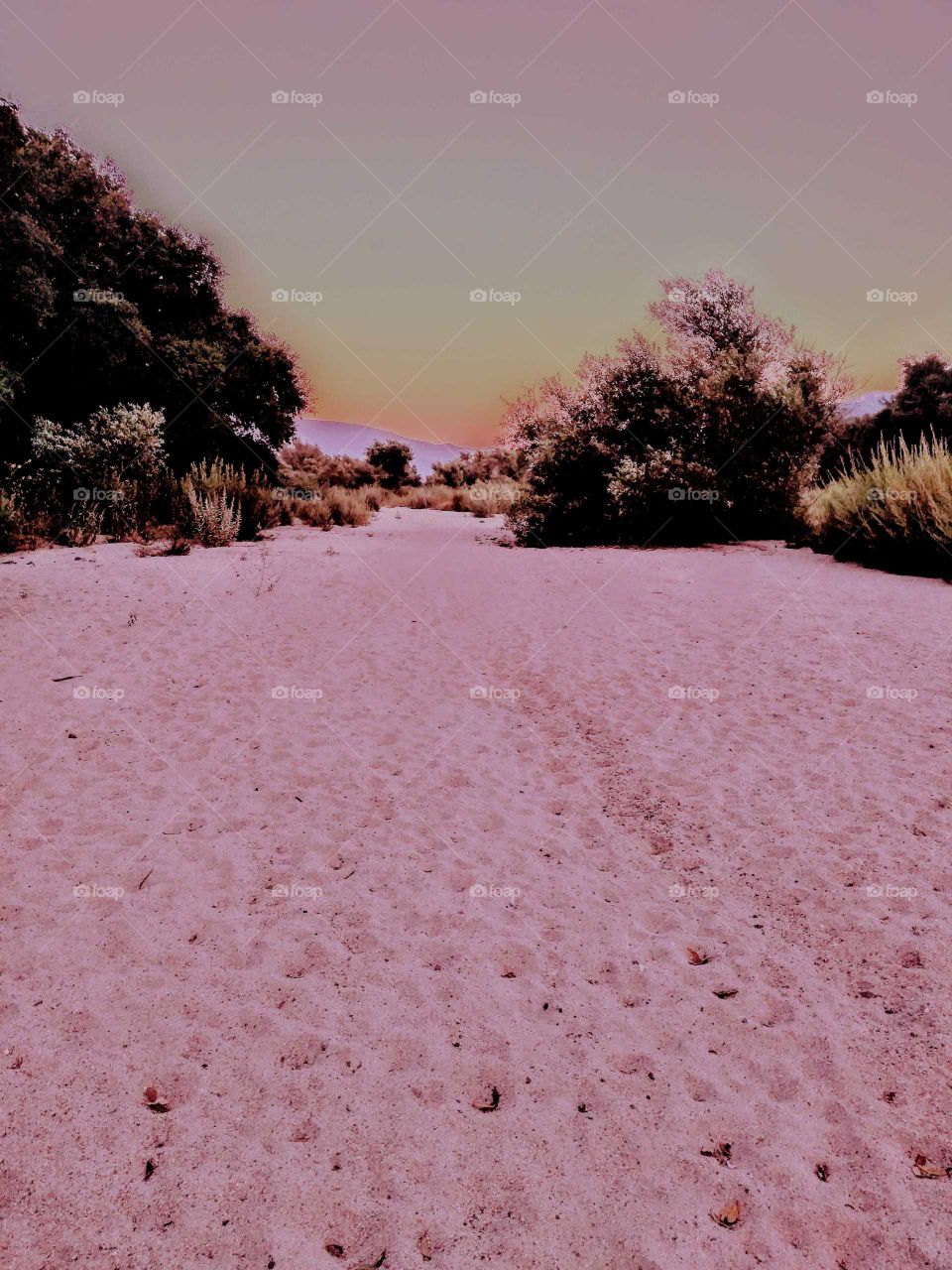 on a walking path in Temecula California color change on this picture