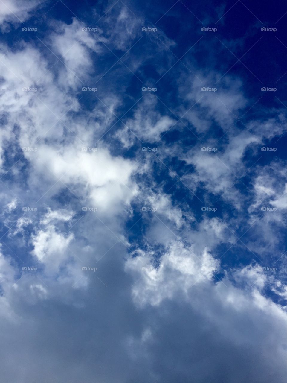 Only from the heart can you touch the clouds. 