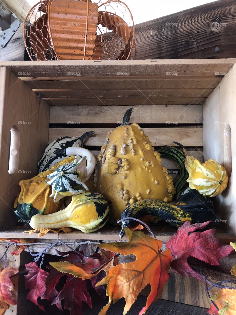 Gourd display at Apple Annie’s