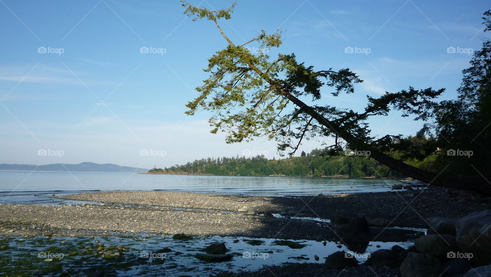 West Coast beach 