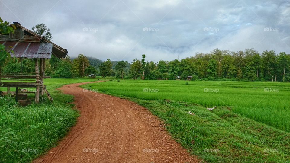 way countryside. way countryside somewhere in Thailand, hut & paddy field,  green, landscape