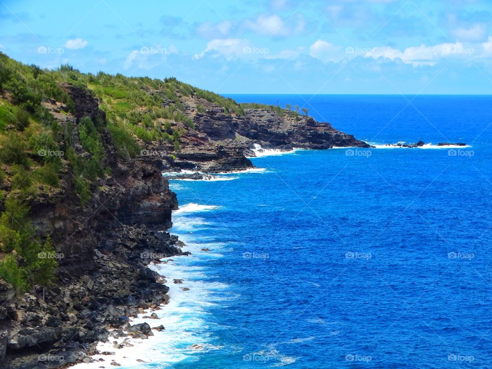 Coast Of Maui