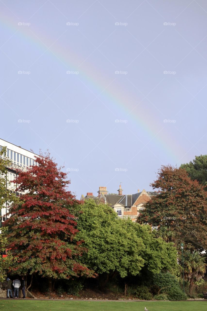 Rainbow in the city over fall colours trees