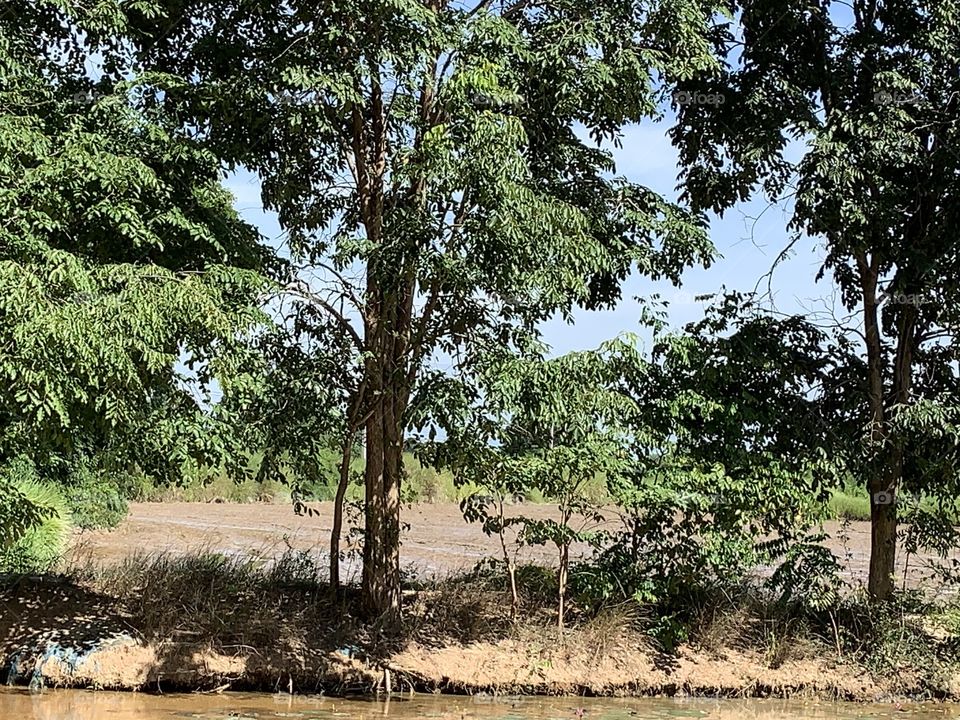 Nature around us, Countryside (Thailand)