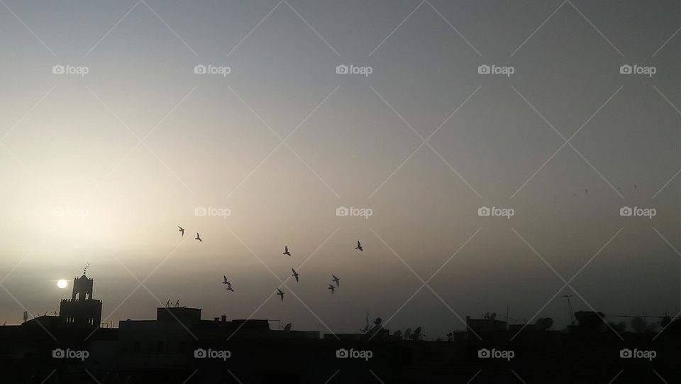 Behind the minaret  are flocks of pigeons flying in the sky depositing the sunset.