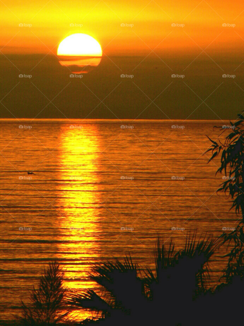 landscape travel sol sunset by antoredo
