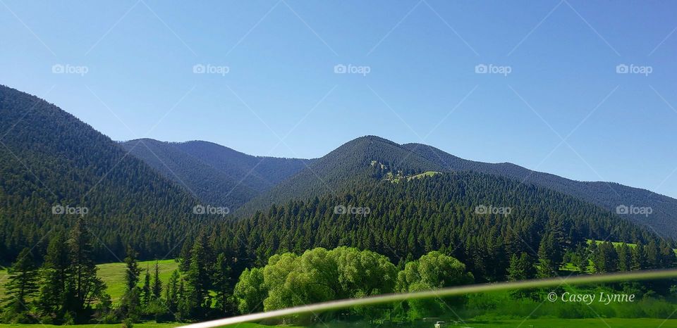 Country roads take me home...to the place where I belong...