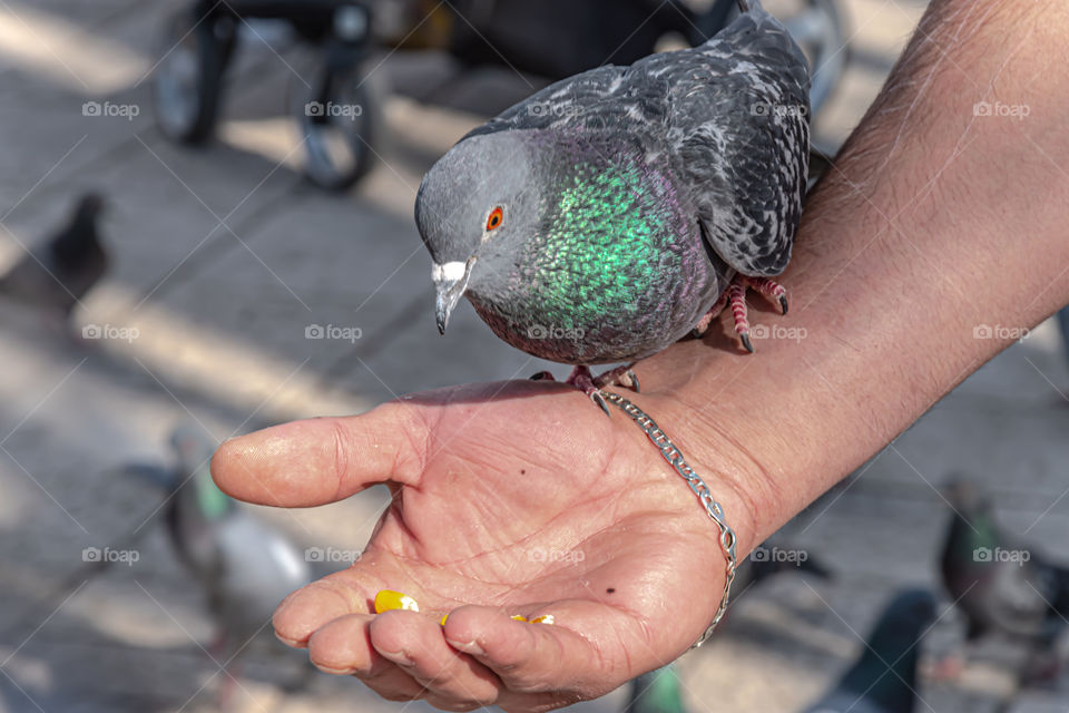 Feeding time