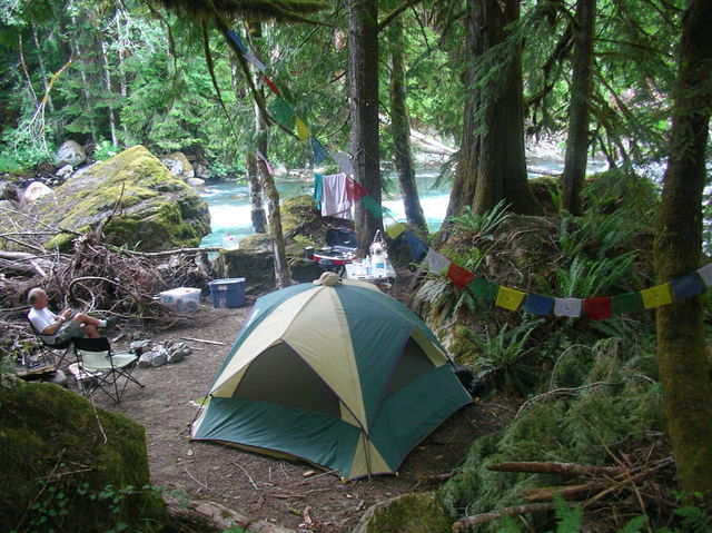 Into The Wild