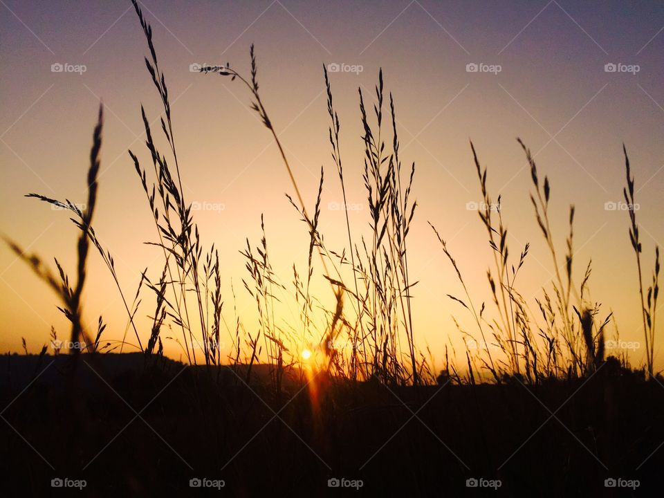 Sunset, Dawn, Sun, Nature, Silhouette