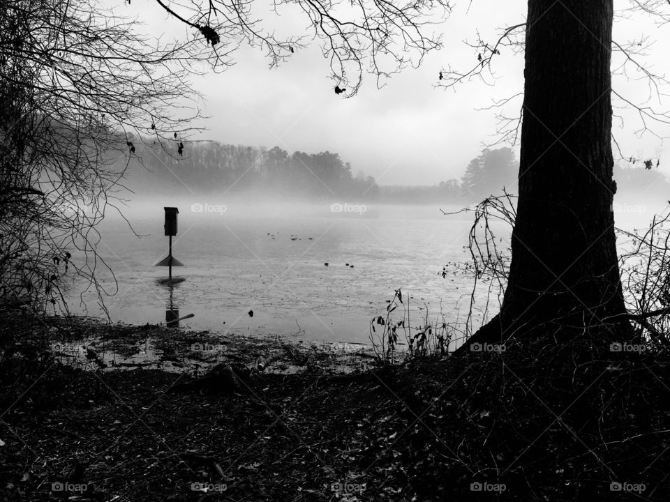 Black and white of a wood duck box on the foggy lake
