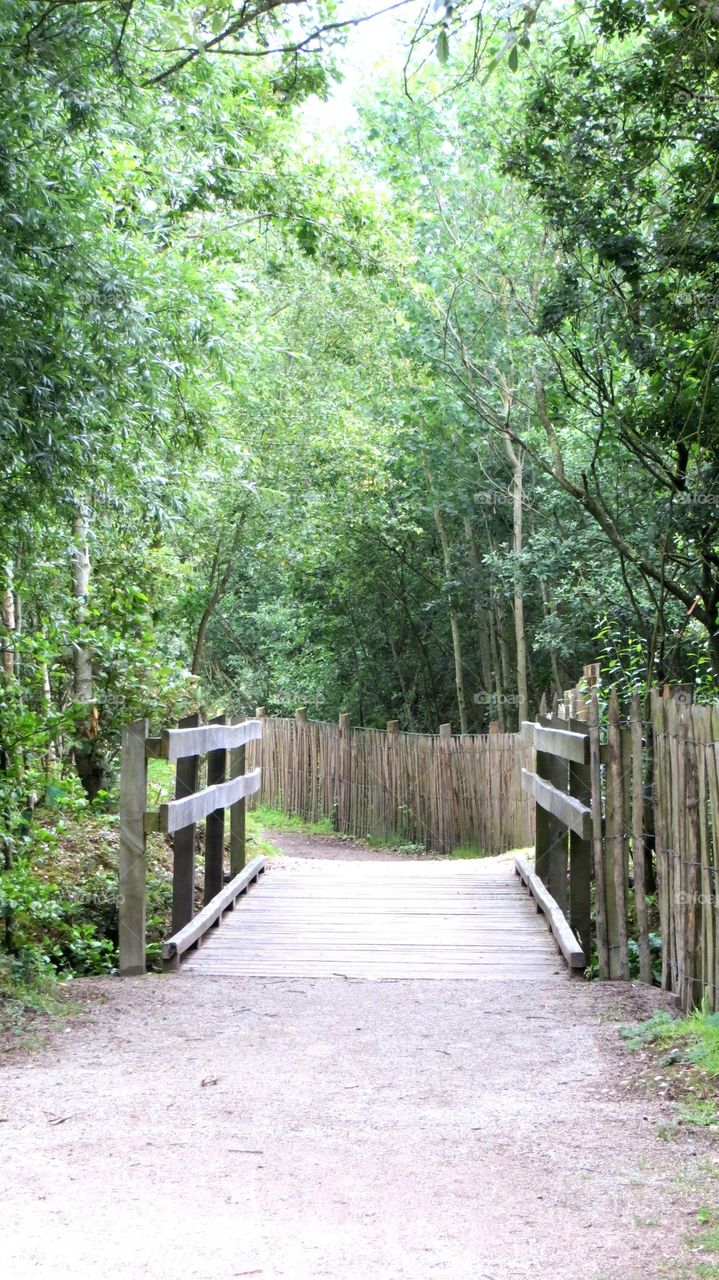 little bridge in the park