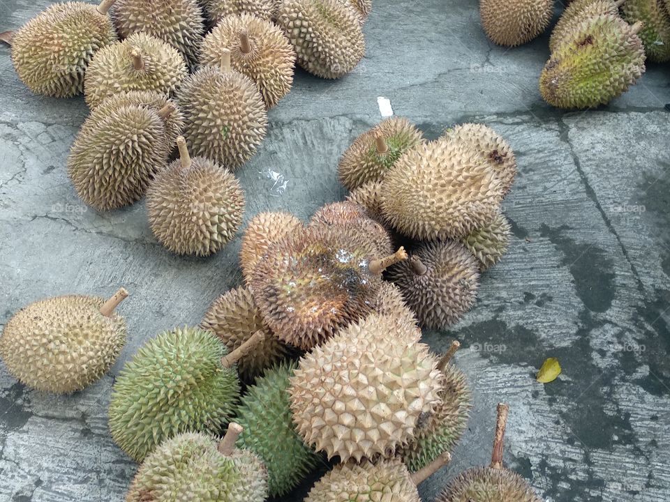 Durian Fruit