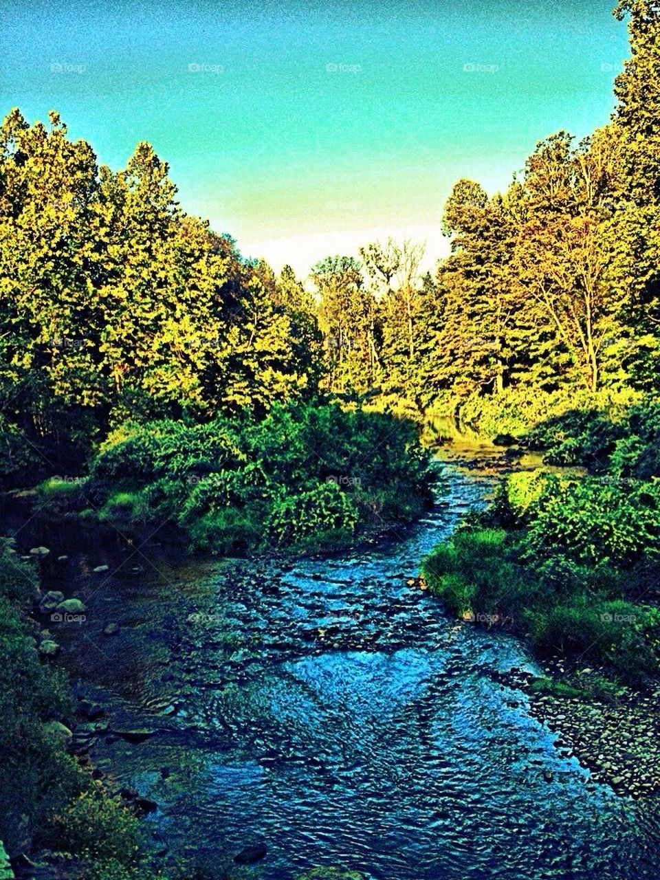 Summer creek