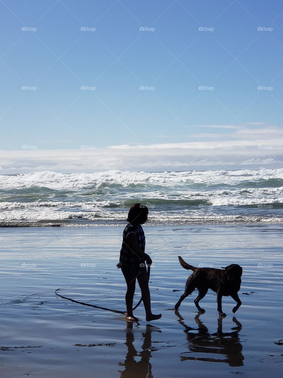 child and dog silhouette at the beach