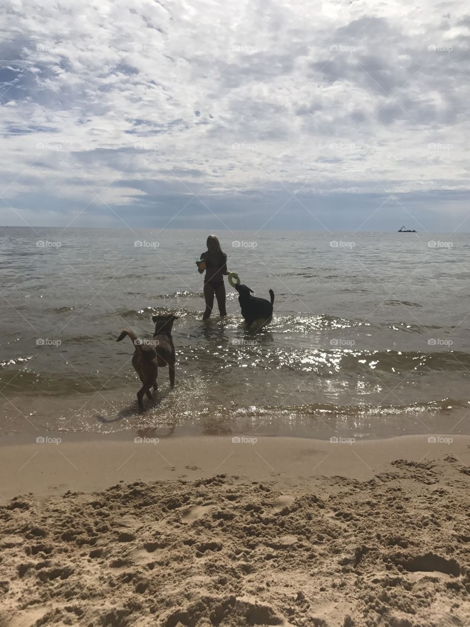 Dog mom playing with her boys on Lake Michigan!