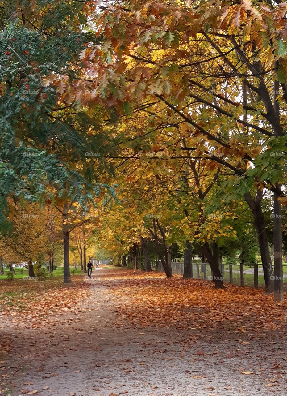 sweet autumn days) 🍂