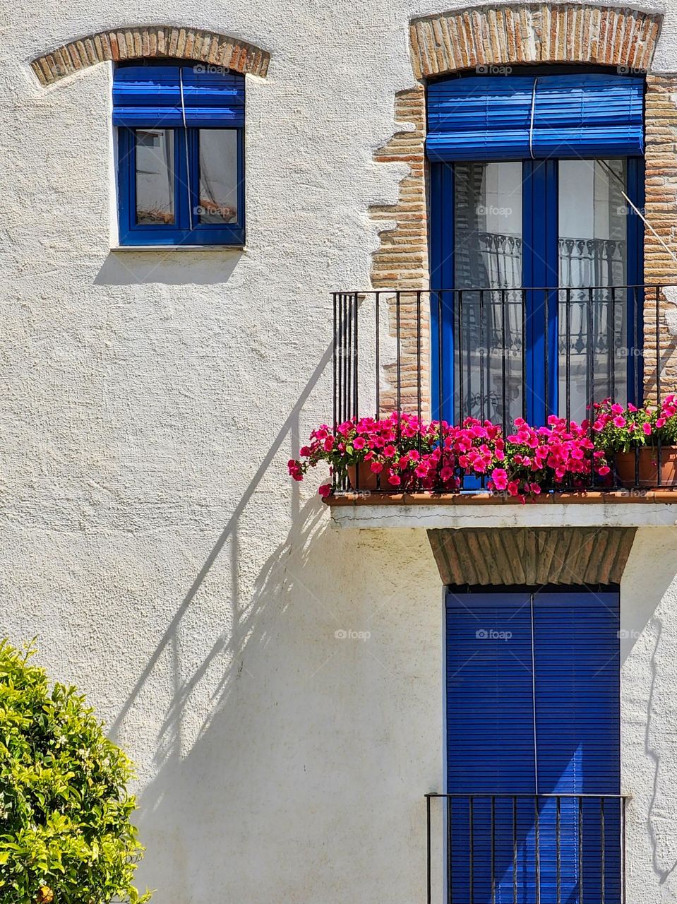 Blue Window, flowers, blue door, summer, house