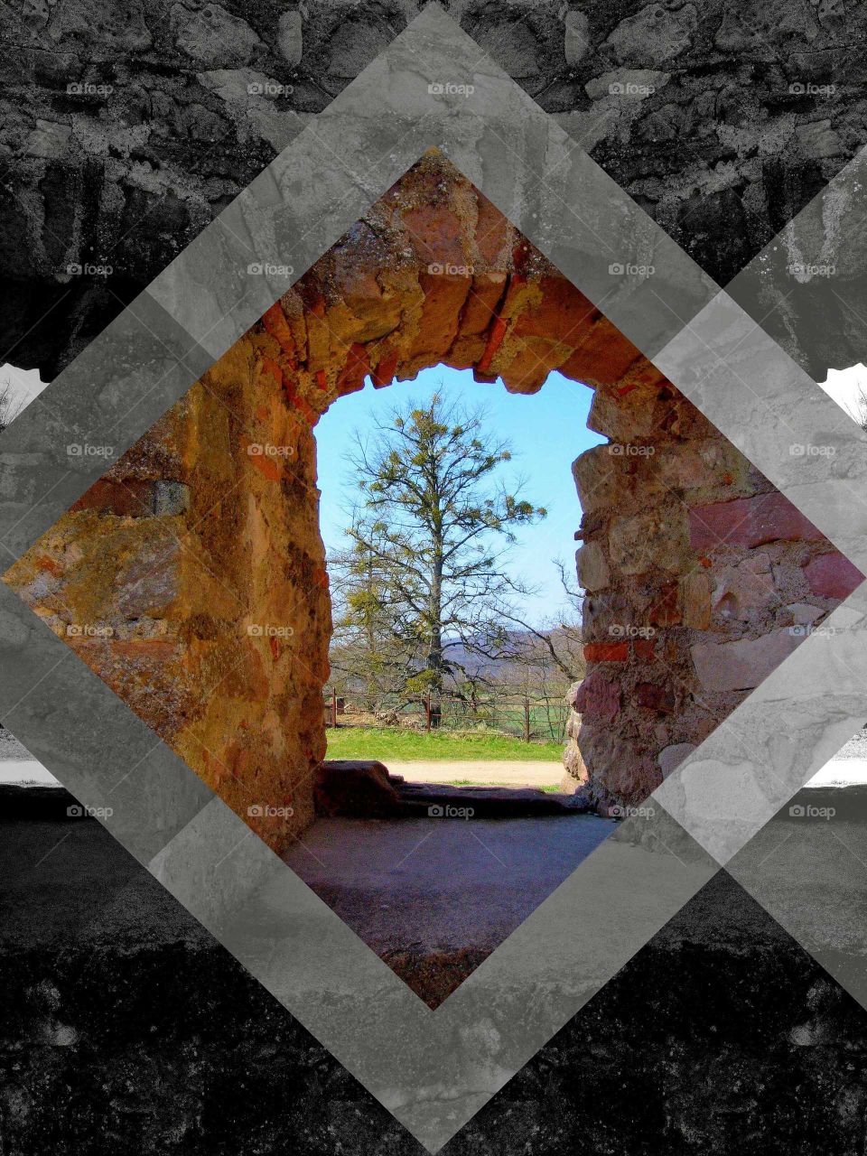 ancient window. a tree outside the wall of an ancient castle