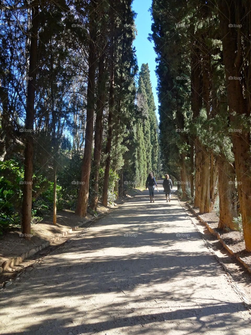 Alhambra in Granada, Spain