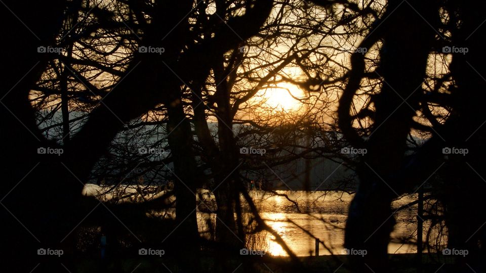 Sunset At Sempachersee