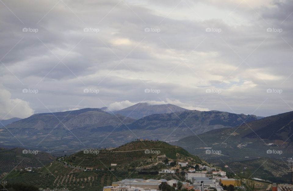 Andalusian view 