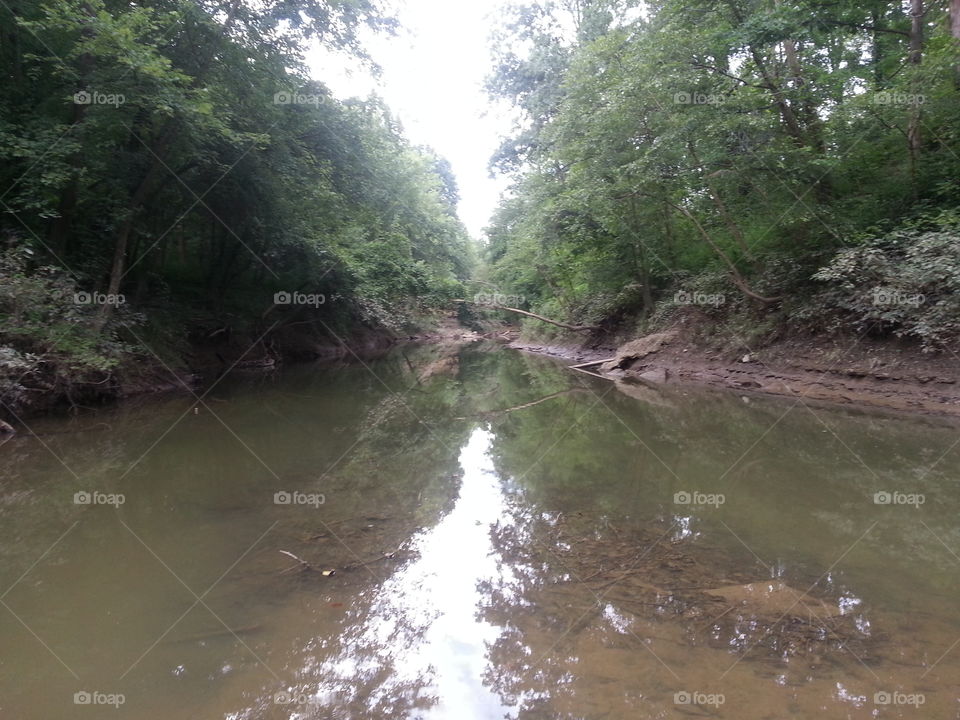 the creek. the creek taken under under a bridge