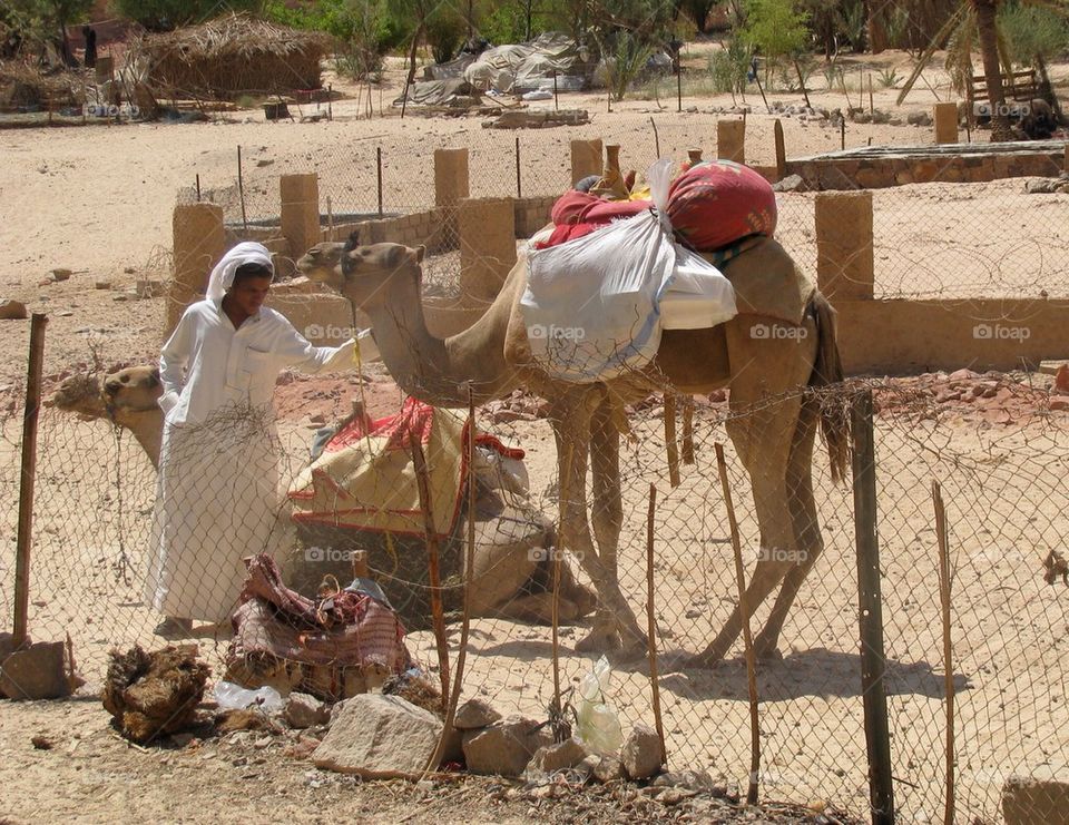 Parking the camel