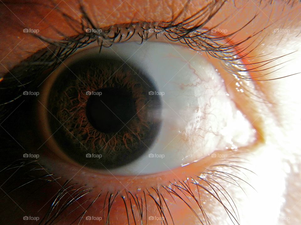 close-up of human eye with detail of iris