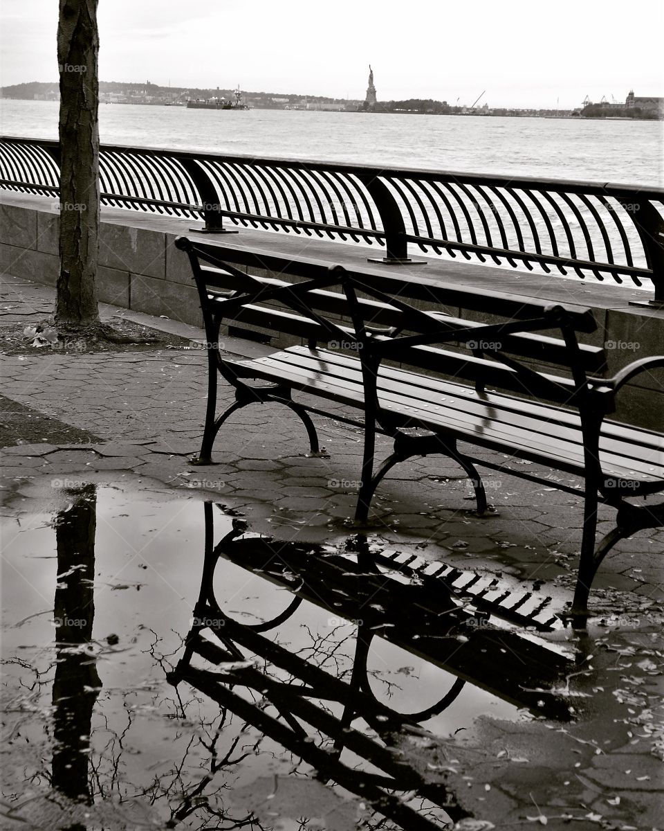 Bench and reflection