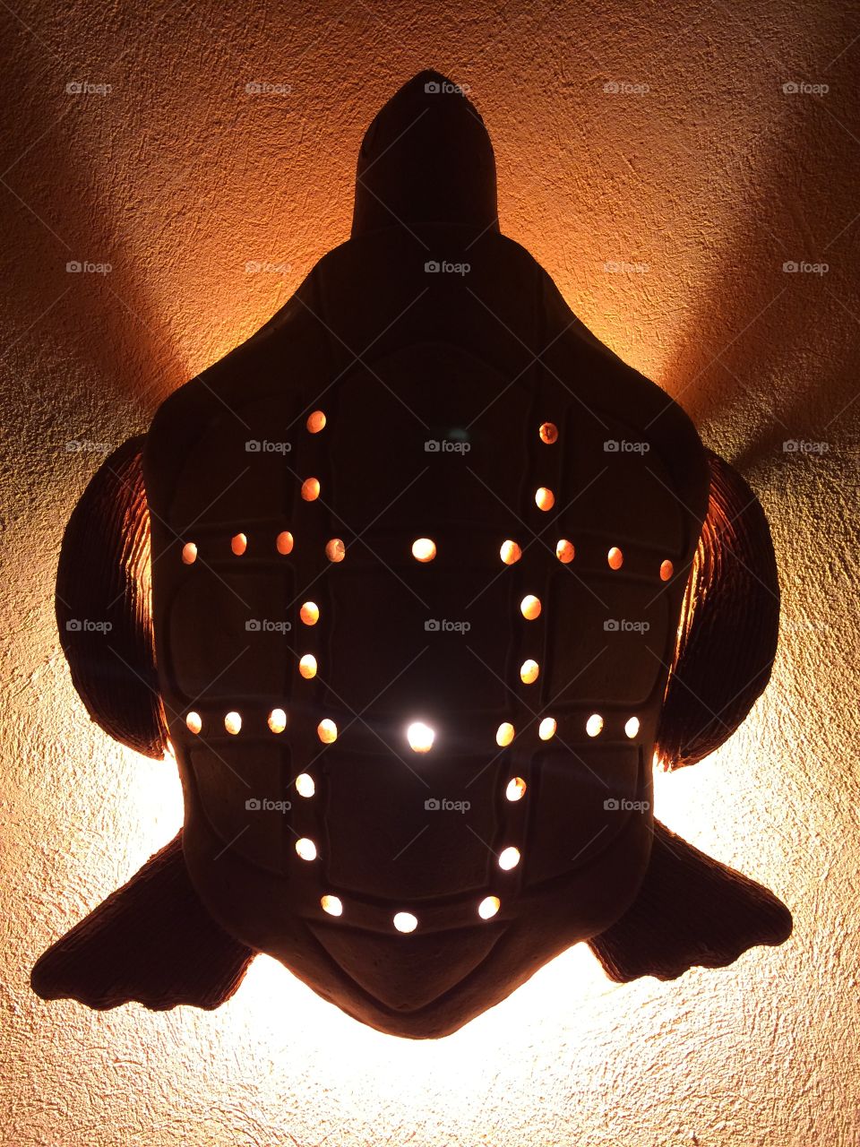 Turtle Light