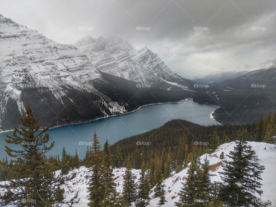 Dog Shaped Lake