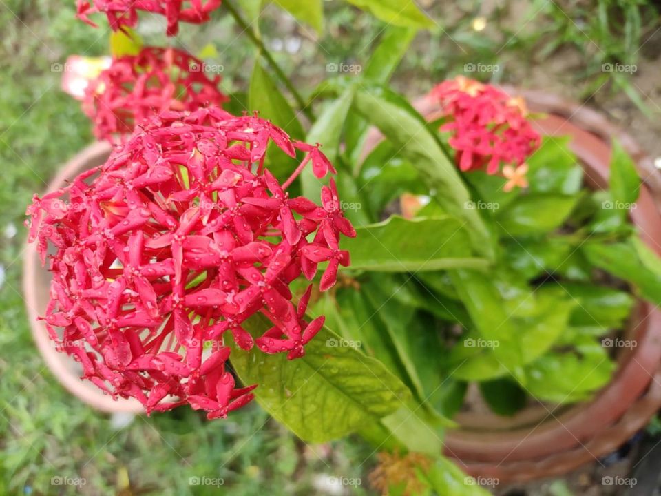 No better way to reset