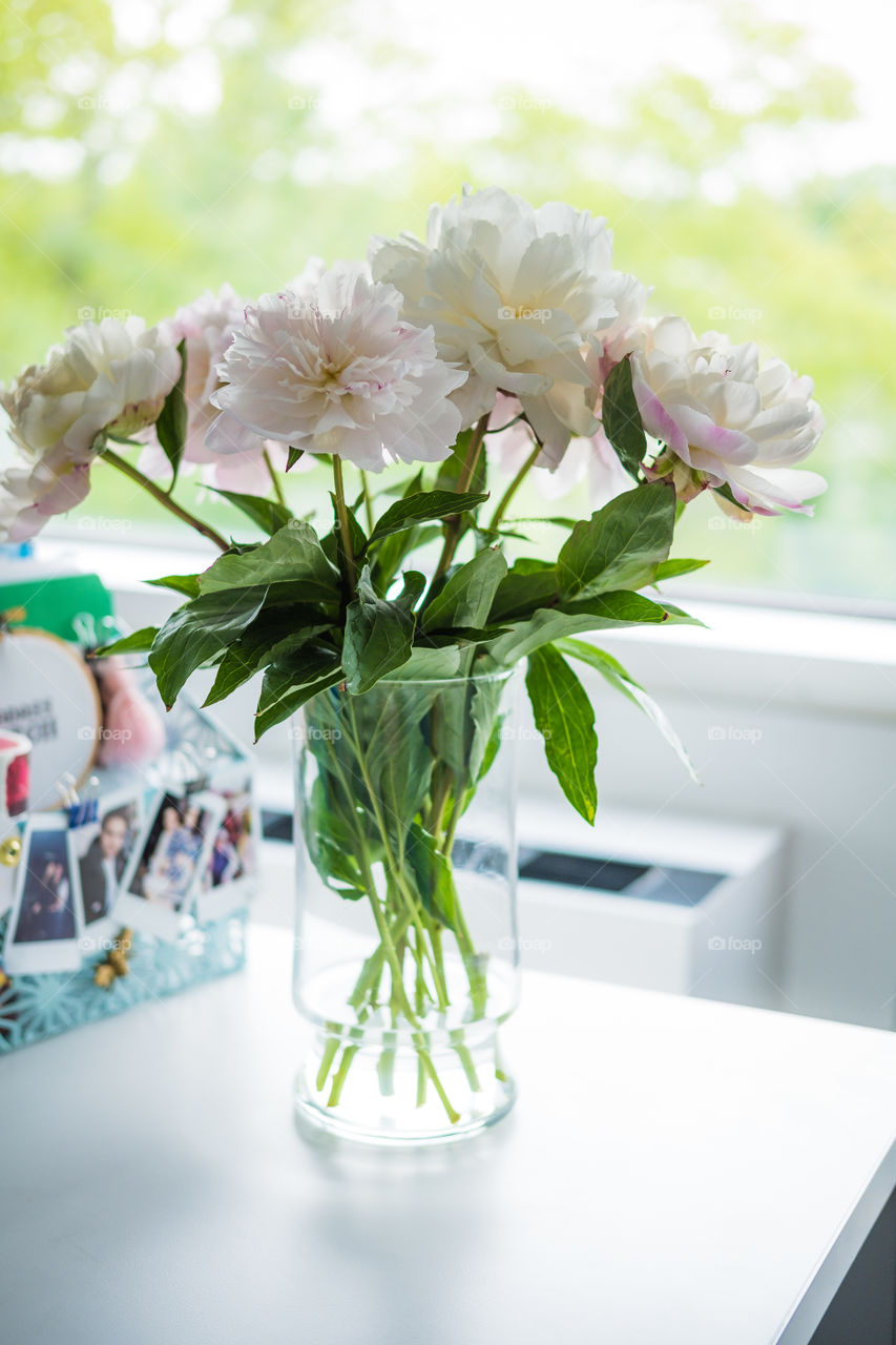 Peonies By the Window