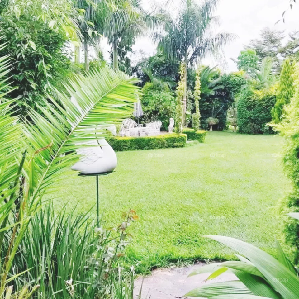 beautiful compound