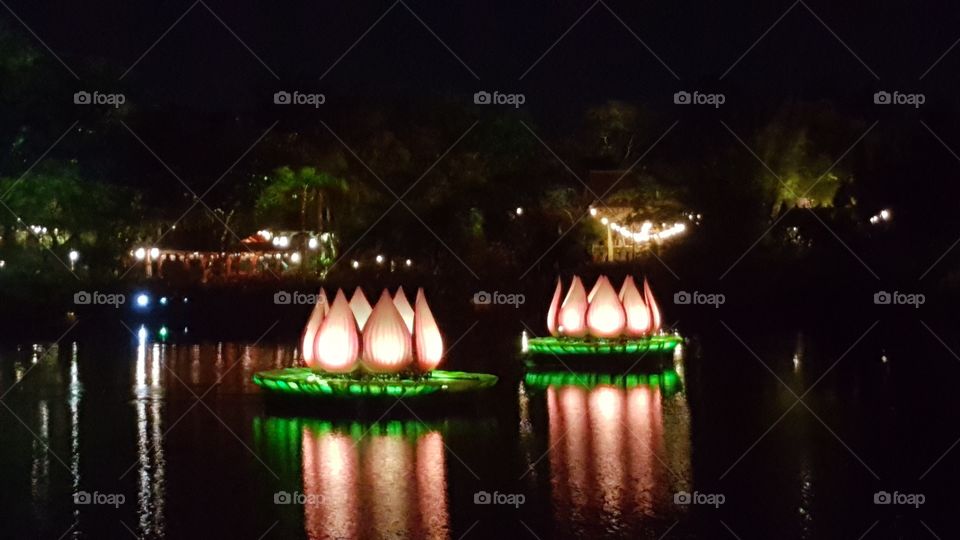 Flowers begin to illuminate the night at Discovery River during Rivers of Light at Animal Kingdom at the Walt Disney World Resort in Orlando, Florida.