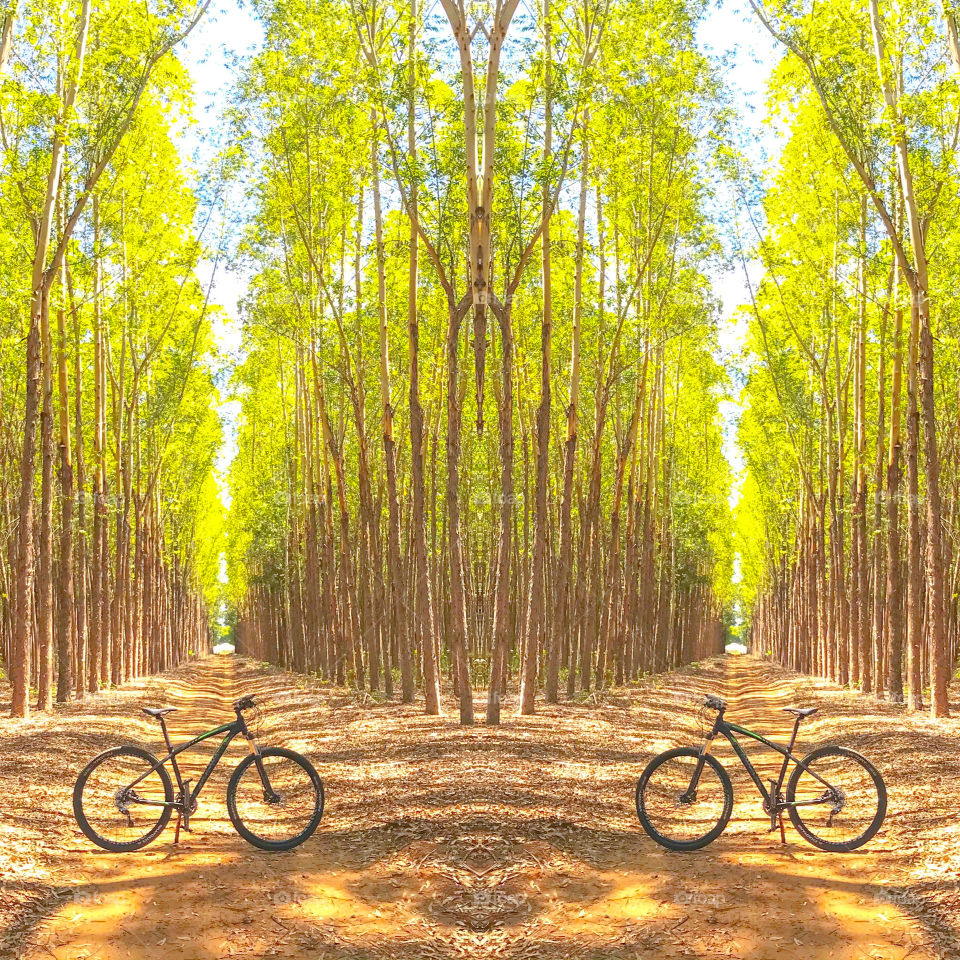Cycle in nature
