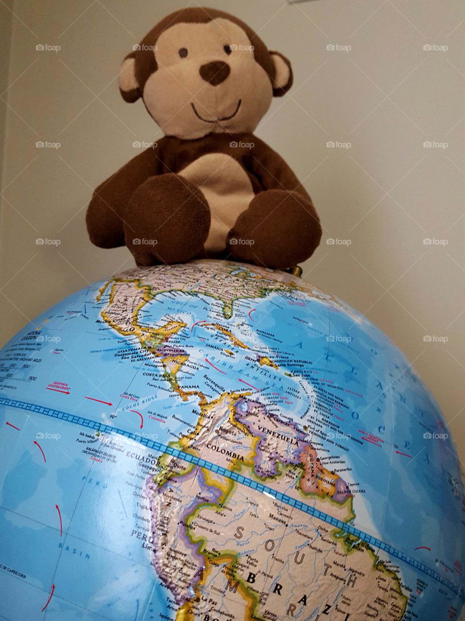 Monkey Sitting on Top of the World