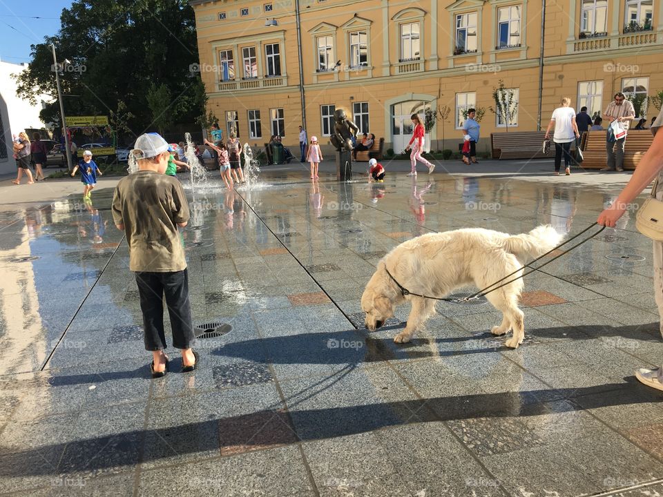 Street, City, People, Road, Urban