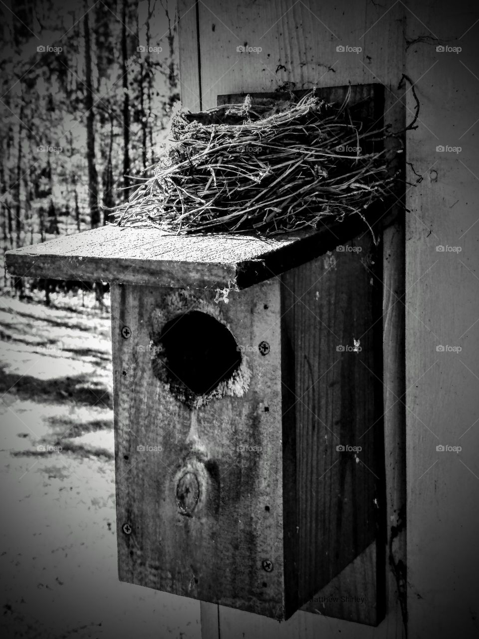 kid who wouldn't leave the nest