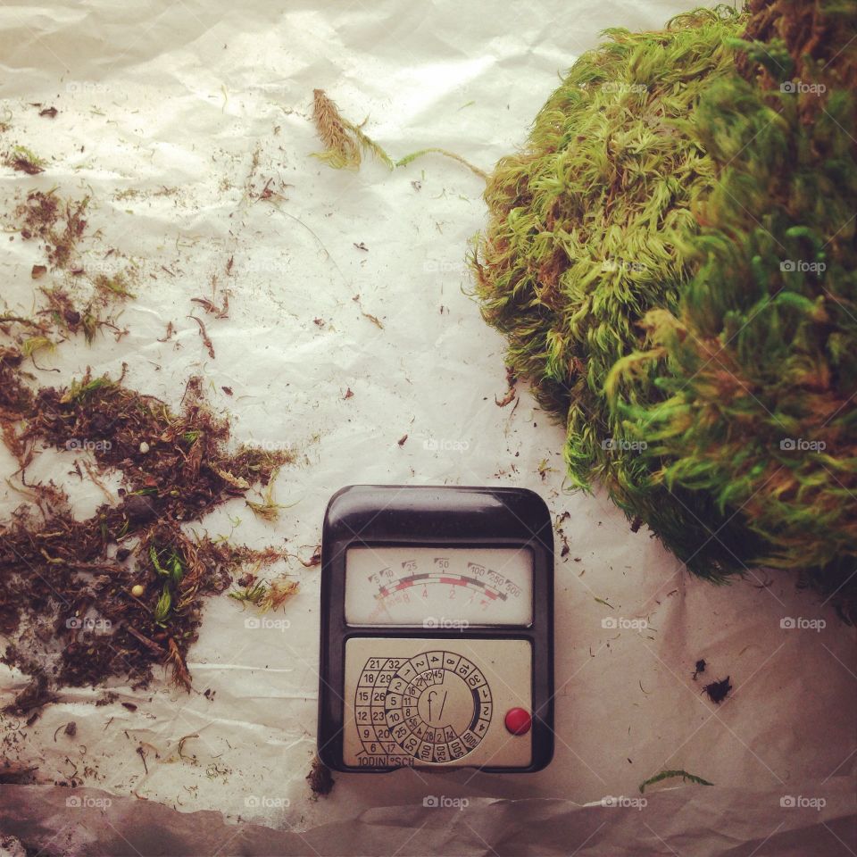 Antique light meter on studio construct mossy still life 