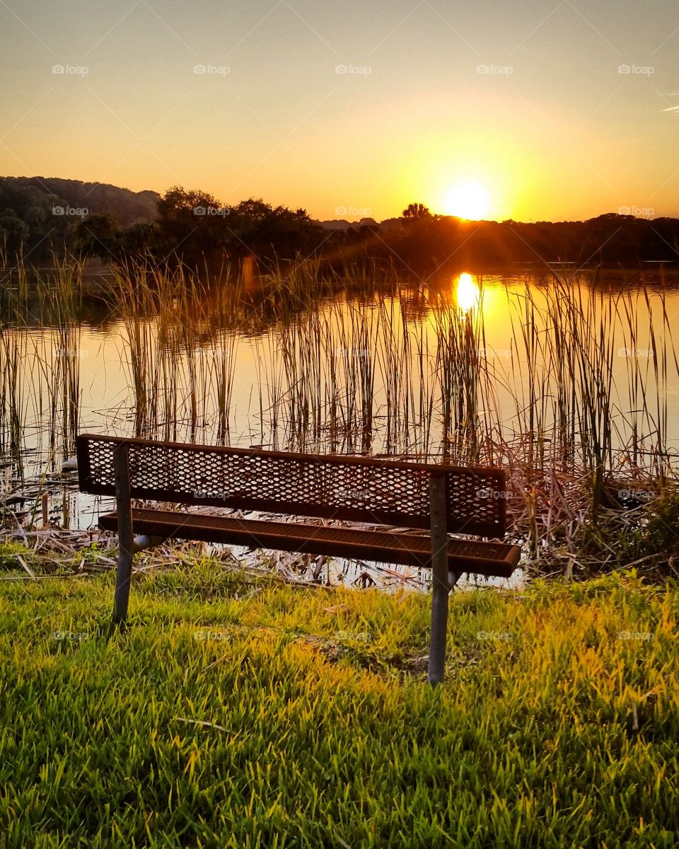 Sunset View Bench