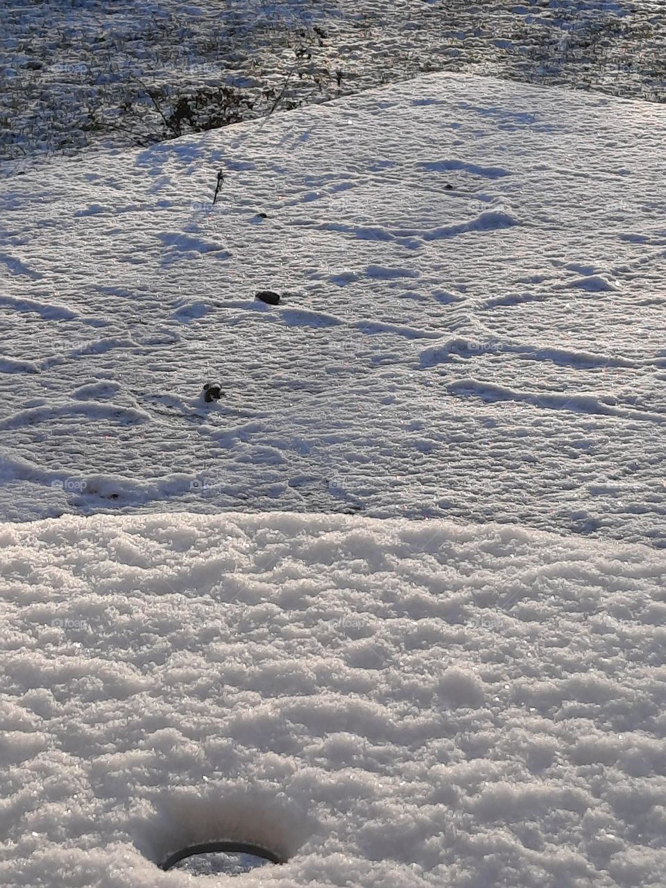 various textures of snow in sunshine