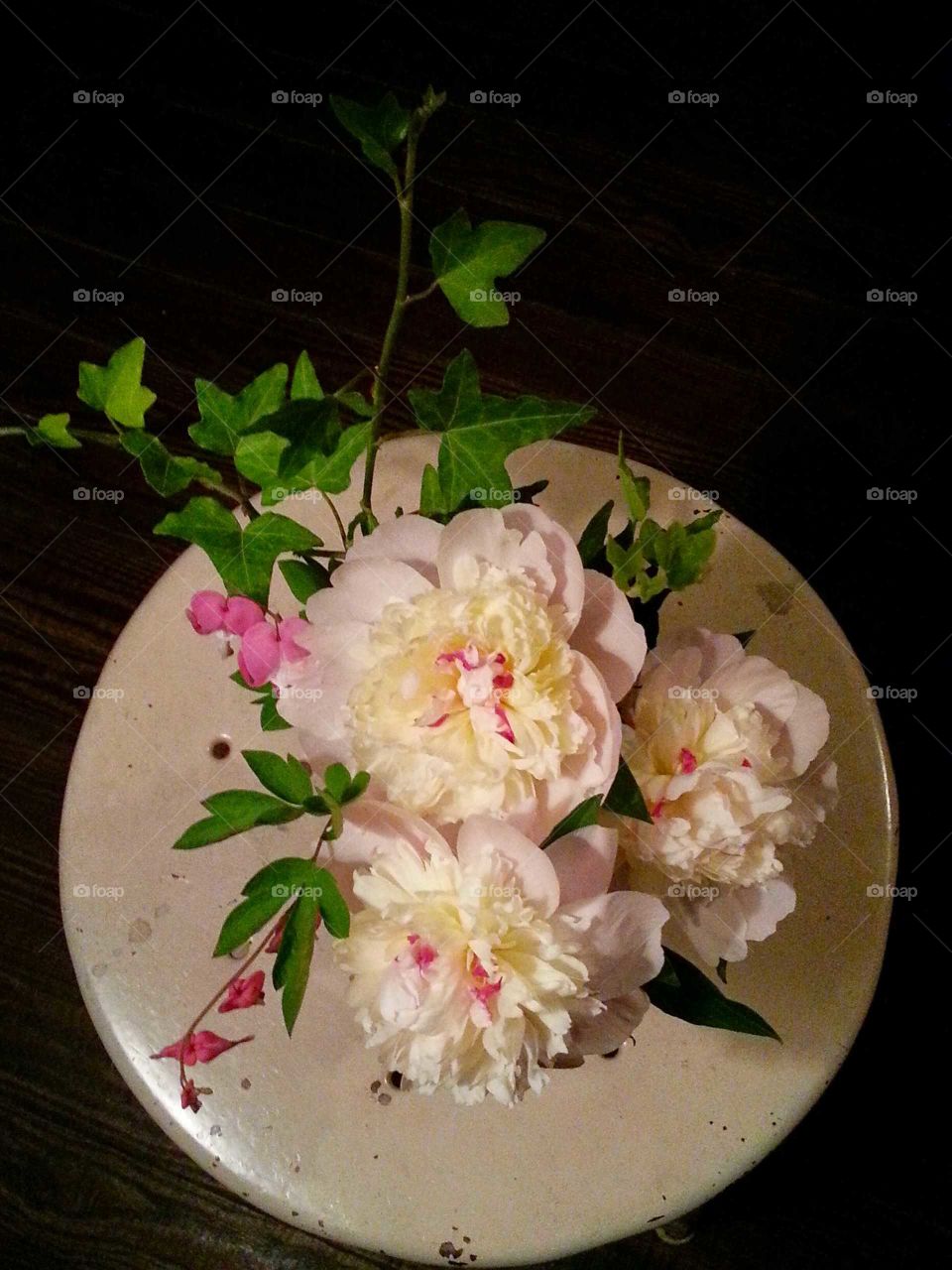 Still Life with Peonies