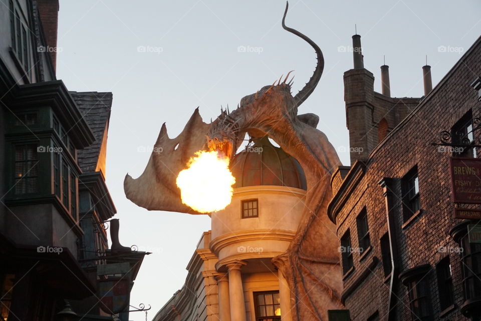  Fire being thrown by a gringott at diagon alley