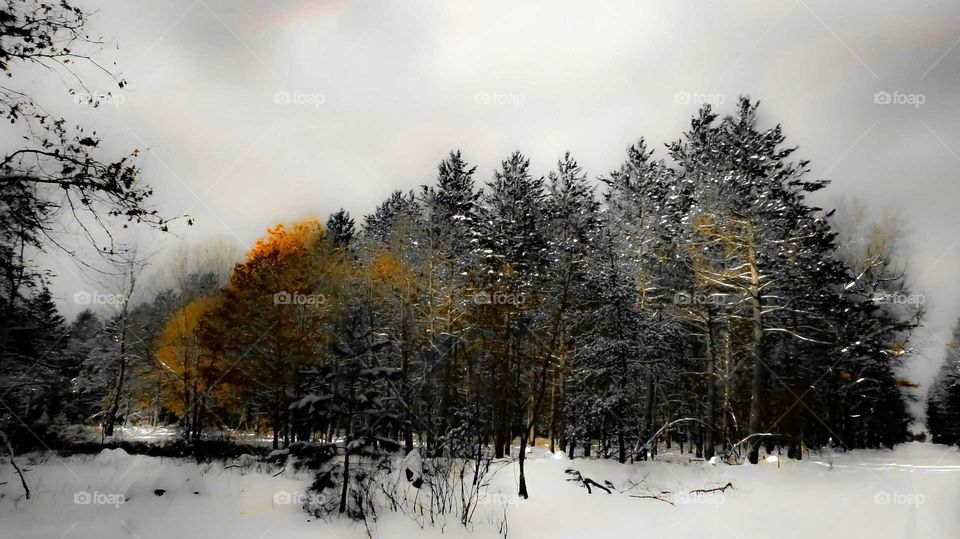 A winters day up north