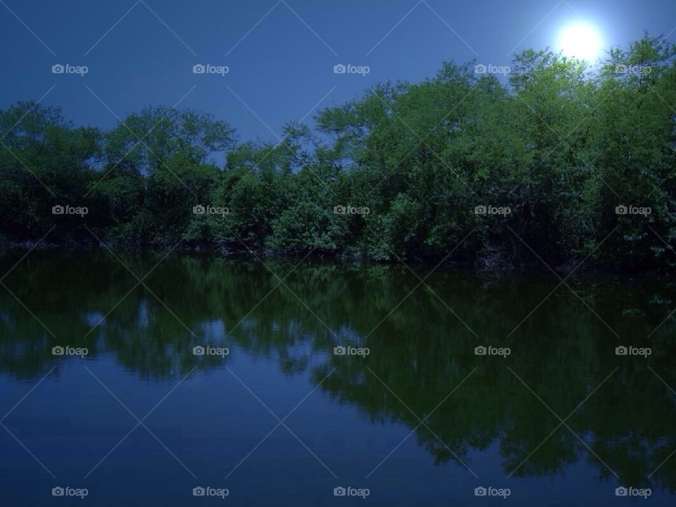 Moonlit lake